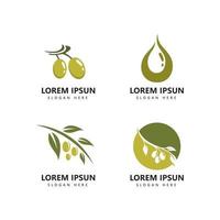 Olive logo icon and olive oil logo template vector