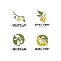 icono de logotipo de oliva y vector de plantilla de logotipo de aceite de oliva