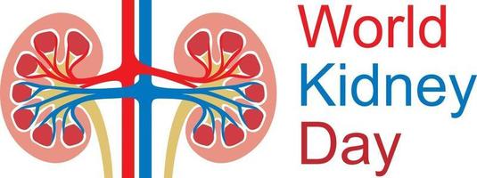 día mundial del riñón vector