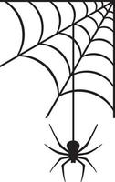 Spider and Spider Web vector