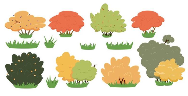 Set of bushes in hand-drawn style