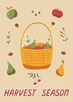 harvest season cartoon style basket with fruit vector