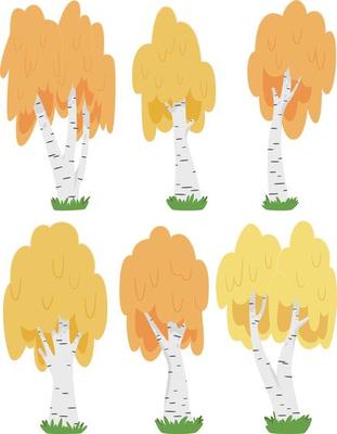 Set of birch trees in cartoon style isolated on white background