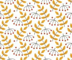 Seamless pattern with leaves and berries of rowan vector