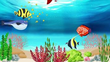 Sea Plants And Fishes Under The Blue Ocean video