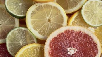 Assortment of fresh sliced citrus fruits close-up, slow rotation