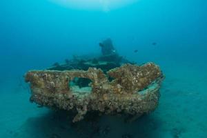 Coral reef and water plants in the Red Sea, Eilat Israel photo