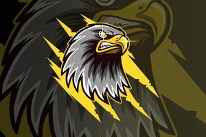 head eagle mascot esport logo hand drawing vector