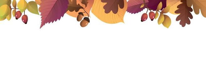 Realistic autumn foliage, white background with space for text vector