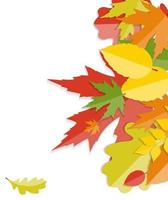 Shiny Autumn Natural Leaves Background. Vector Illustration