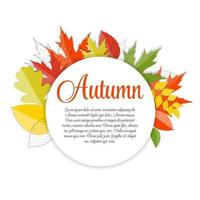 Shiny Autumn Natural Leaves Background. Vector Illustration