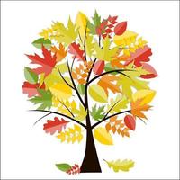 Shiny Autumn Natural Tree Background. Vector Illustration