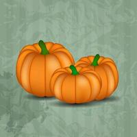 Orange Pumpkin  Background Vector Illustration