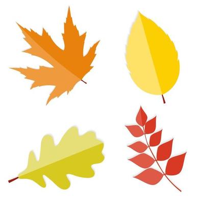 Shiny Autumn Natural Leaves  Vector Illustration