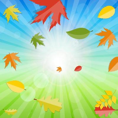 Shiny Autumn Natural Leaves Background. Vector Illustration