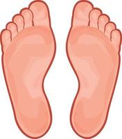 Human Foot Icon vector