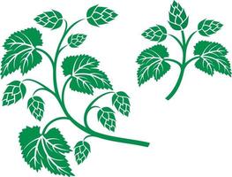 Hop Leaf Design vector