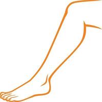 Woman Leg Icon vector