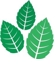 hojas de menta fresca vector
