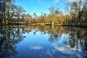 Dreamy View of a Lake and Trees in Nature photo