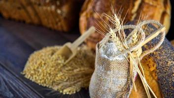 Delicious Fresh Bread Food Concept photo