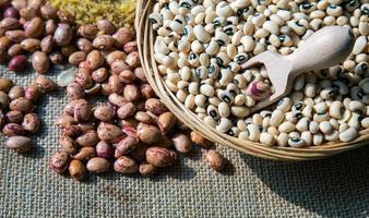 Healthy Vegetarian Raw Food Legumes photo