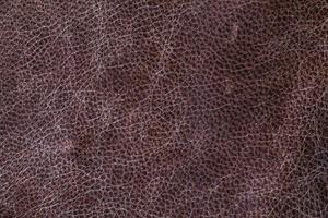 Seamless Real Leather Pattern