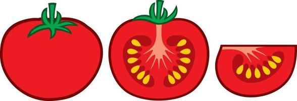 segmento de tomate y una rodaja vector