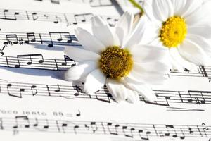 Flower Flora Daisy and Music Notes Sheets photo