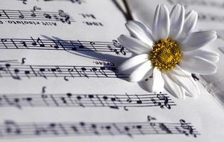 Flower Flora Daisy and Music Notes Sheets photo