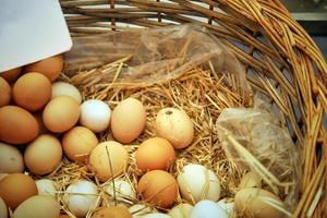 alimentos proteína orgánica pollo huevos crudos foto