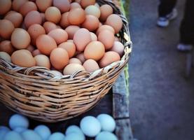 Food Protein Organic Chicken Raw Eggs photo
