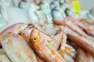 Comida para peces en un puesto de mercado de pescado. foto