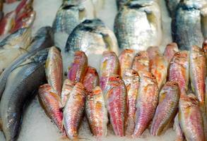 Comida para peces en un puesto de mercado de pescado. foto