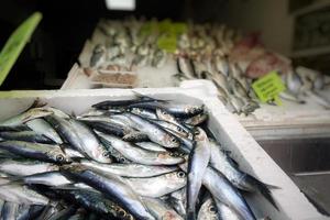 Comida para peces en un puesto de mercado de pescado. foto