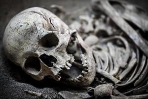huesos de esqueleto de muerte humana y cráneo