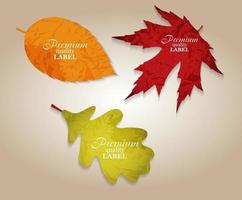 Ilustración de vector de etiquetas de hojas de otoño