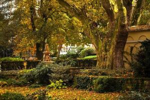 Seasonal Trees and Roads Green Nature in Park photo