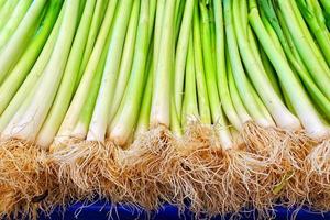 Healthy Green and Fresh Vegetable Leek photo