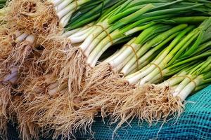 Healthy Green and Fresh Vegetable Leek photo