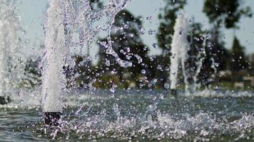 fontein in een waterpoel video