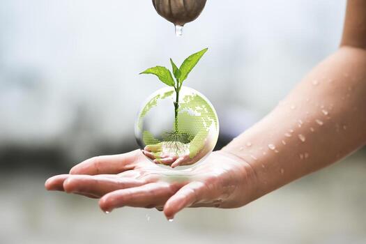 palms guard the earth crystal ball with plant buds inside photo