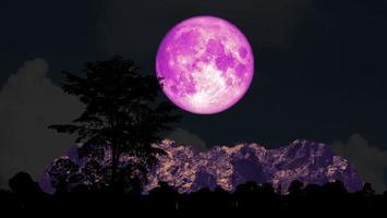 Full pink moon and tree on the silhouette mountain night sky photo