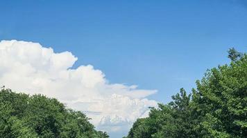 Blue sky with clouds, flying birds and green branches. photo