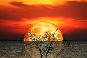 reflejo de la luna llena de sangre de la corteza y el árbol en el mar y el cielo nocturno foto