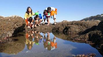 Family at beach looking at tide pool video