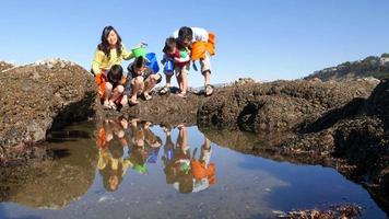 familj på stranden tittar på tidvattenpoolen video