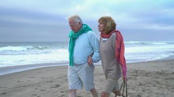 Senior couple walking on beach together video