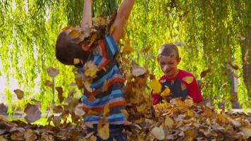 kinderen spelen in herfstbladeren. video