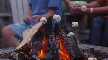 Closeup, roasting marshmallows by outdoor fire. video
